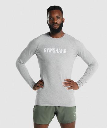 Long Sleeve Gymshark Apollo Hombre Gris Claro | CO 3482SGL